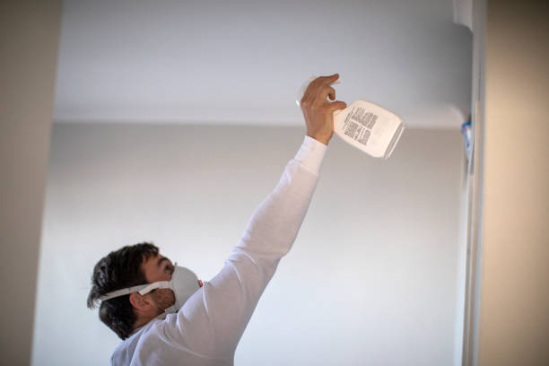 Best Commercial Mold Removal  in Gaylord, MI