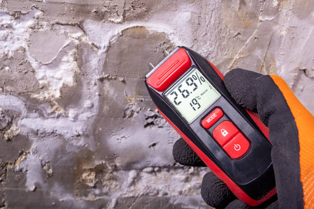 Best Mold Cleaning Services  in Gaylord, MI